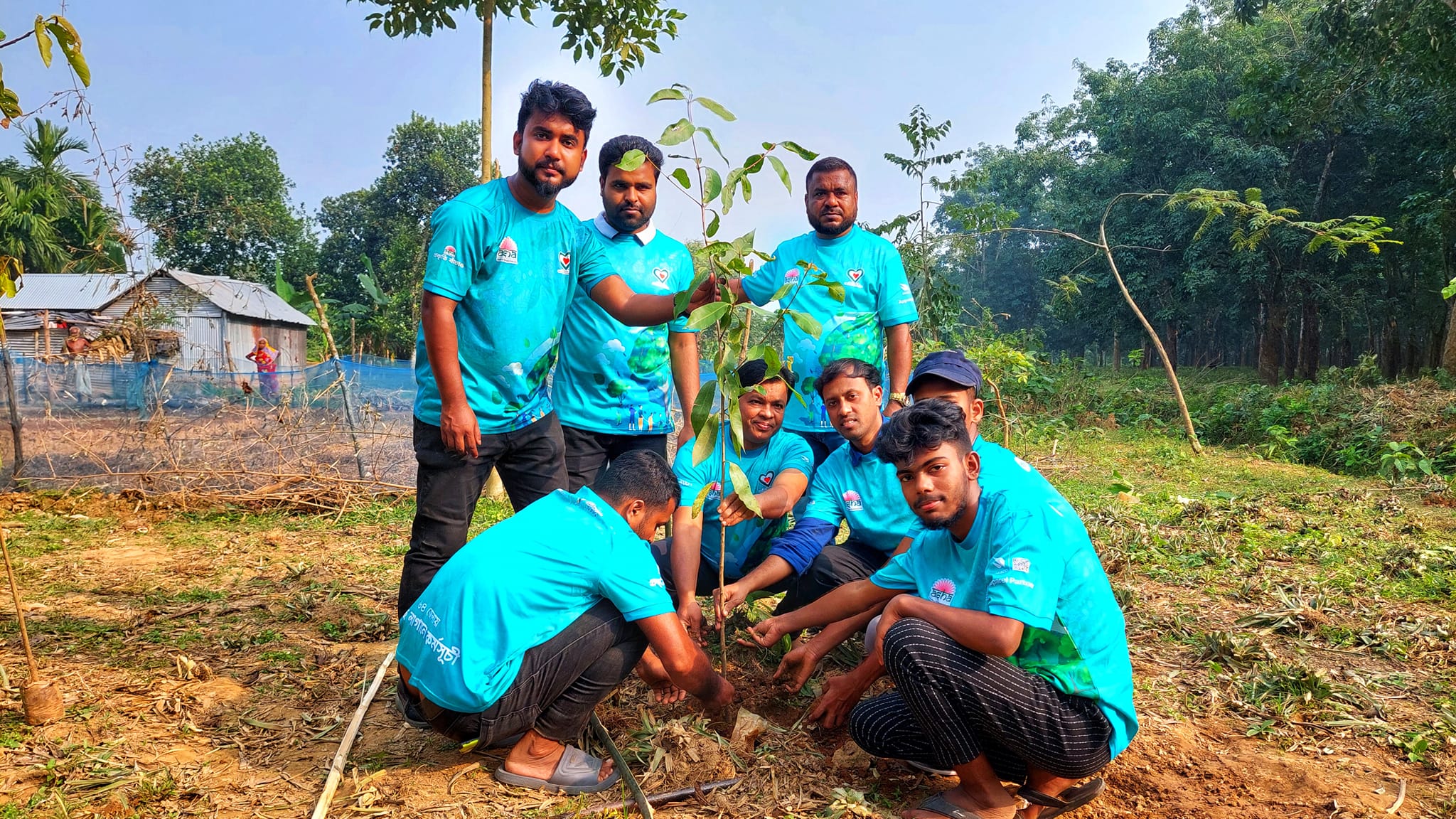 Tree plantation activity